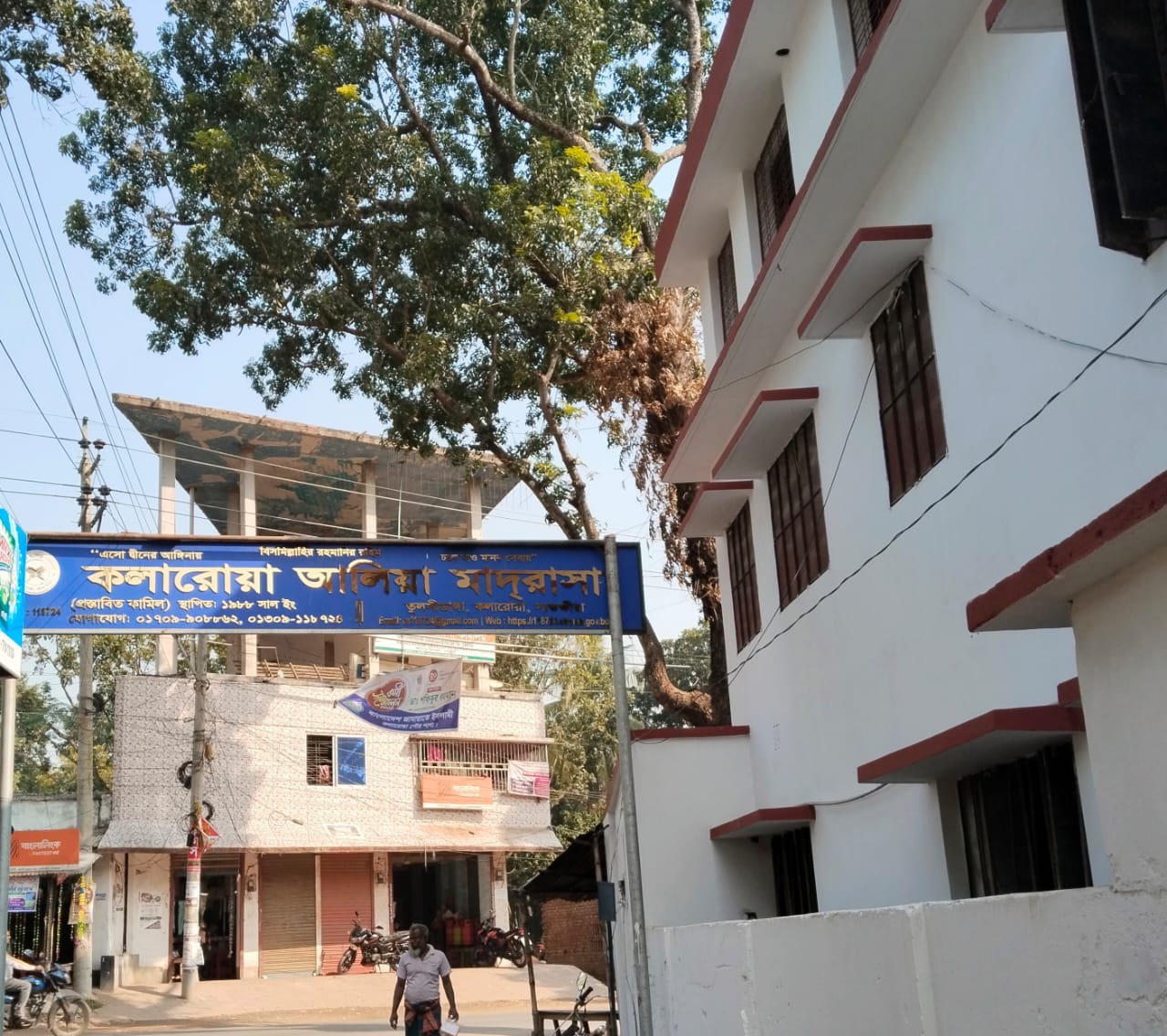 কলারোয়া আলিয়া কামিল মাদ্রাসার অভাবনীয় সাফল্য
