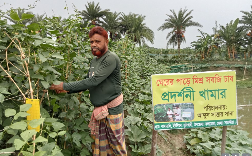 সবুজে ঘেরা কামারালী: একজন আব্দুস সাত্তার ও একটি আদর্শ গ্রামের গল্প