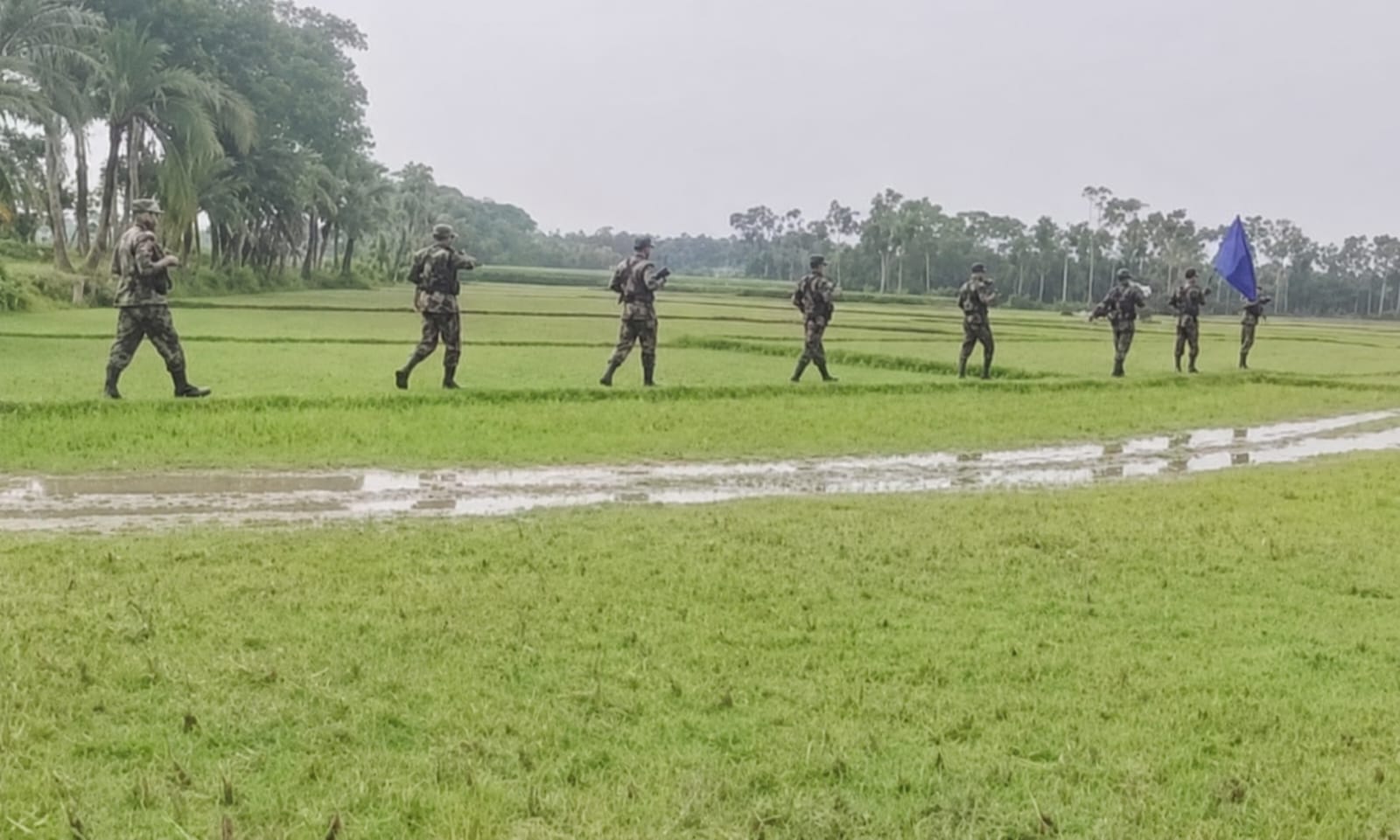 পুশইন শঙ্কায় কলারোয়া সীমান্তে সর্বোচ্চ সতর্কতা বিজিবির সঙ্গে যৌথ পাহারায় স্থানীয় জনতা, জোরদার নজরদারি সীমান্তজুড়ে
