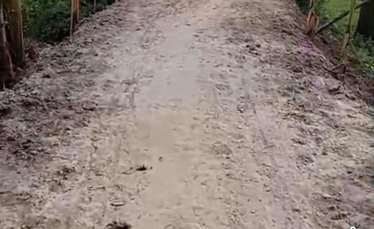 সরকারি ২ লাখ ১৬ হাজার টাকার রাস্তার মাটি ভরাট প্রকল্পে অনিয়মের অভিযোগ; কলারোয়ার জয়নগর ইউনিয়নের বেলে মাঠ সড়ক, তদন্তের দাবি স্থানীয়দের