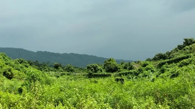 ঘুমধুম সীমান্তে ফের মাইন বিস্ফোরণ, প্রাণ গেল যুবকের