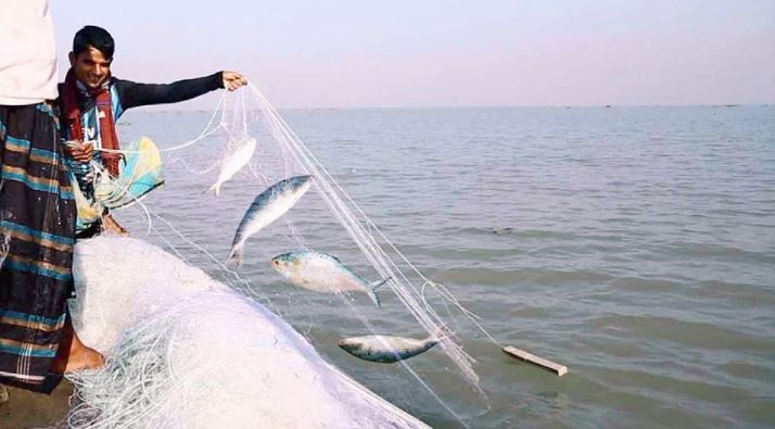 ইলিশ উৎপাদন বাড়াতে জেলেদের আরও আর্থিক সহায়তা দেবে সরকার