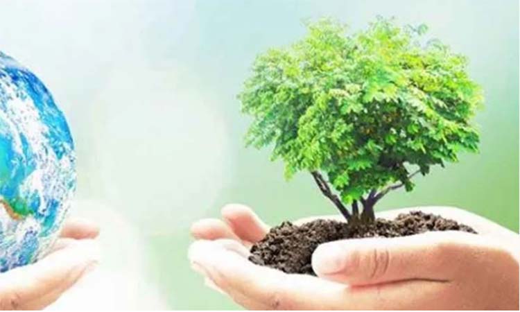 জেলা পরিষদ উন্নয়ন সহায়তা তহবিলের আওতায় ১৭৭.৮০ কোটি টাকা বিশেষ বরাদ্দ অনুমোদন