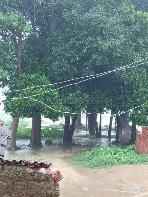 প্রচণ্ড তাপদাহের পর স্বস্তির বৃষ্টি, প্রাণ ফিরে পেল জনজীবন