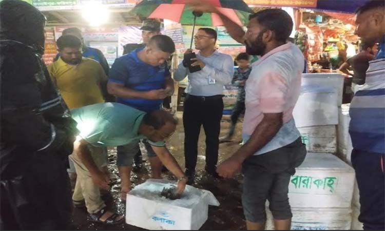 সাতক্ষীরায় ২৬০ কেজি জেলি পুশ করা চিংড়ি জব্দ