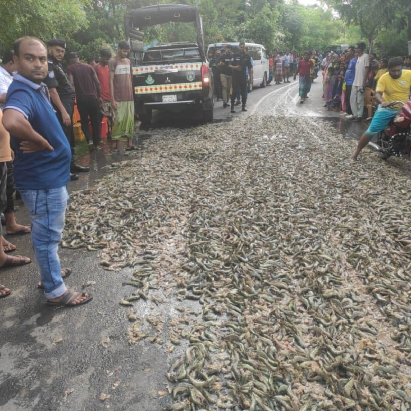 আশাশুনিতে মোবাইল কোর্ট পরিচালনা।। ১৩ লক্ষ টাকার বাগদা জব্দ