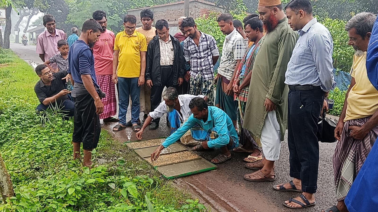 কলারোয়ায় আধুনিক প্রযুক্তিতে ধান চাষে উদ্বুদ্ধকরণ প্রশিক্ষণ অনুষ্ঠিত।