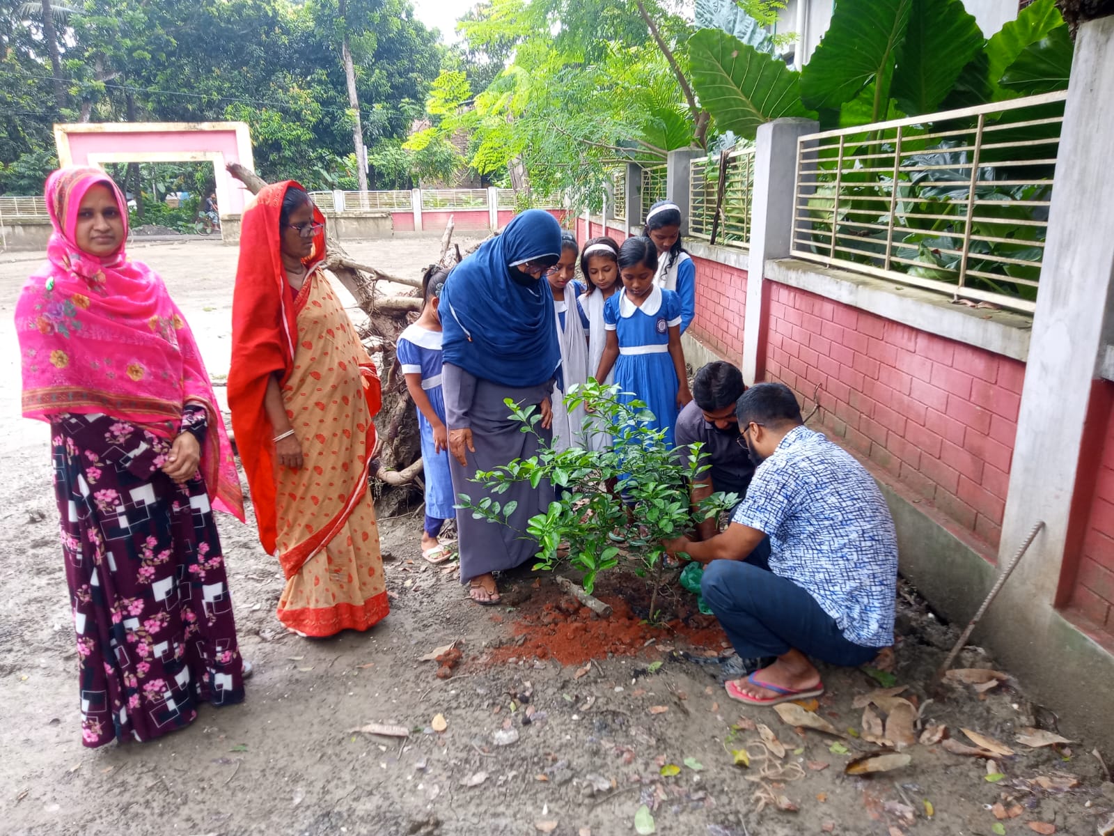 তুজলপুর সরকারি প্রাথমিক বিদ্যালয়ে বৃক্ষরোপণ উৎসব উদযাপন।
