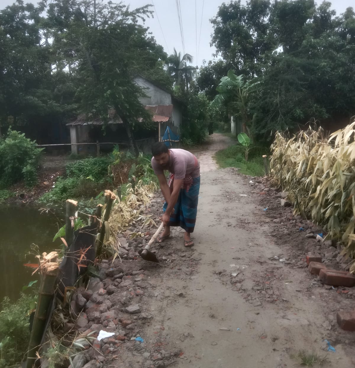 কলারোয়ার রামচন্দ্রপুরে গ্রামবাসীর নিজস্ব অর্থায়নে রাস্তা সংস্কার