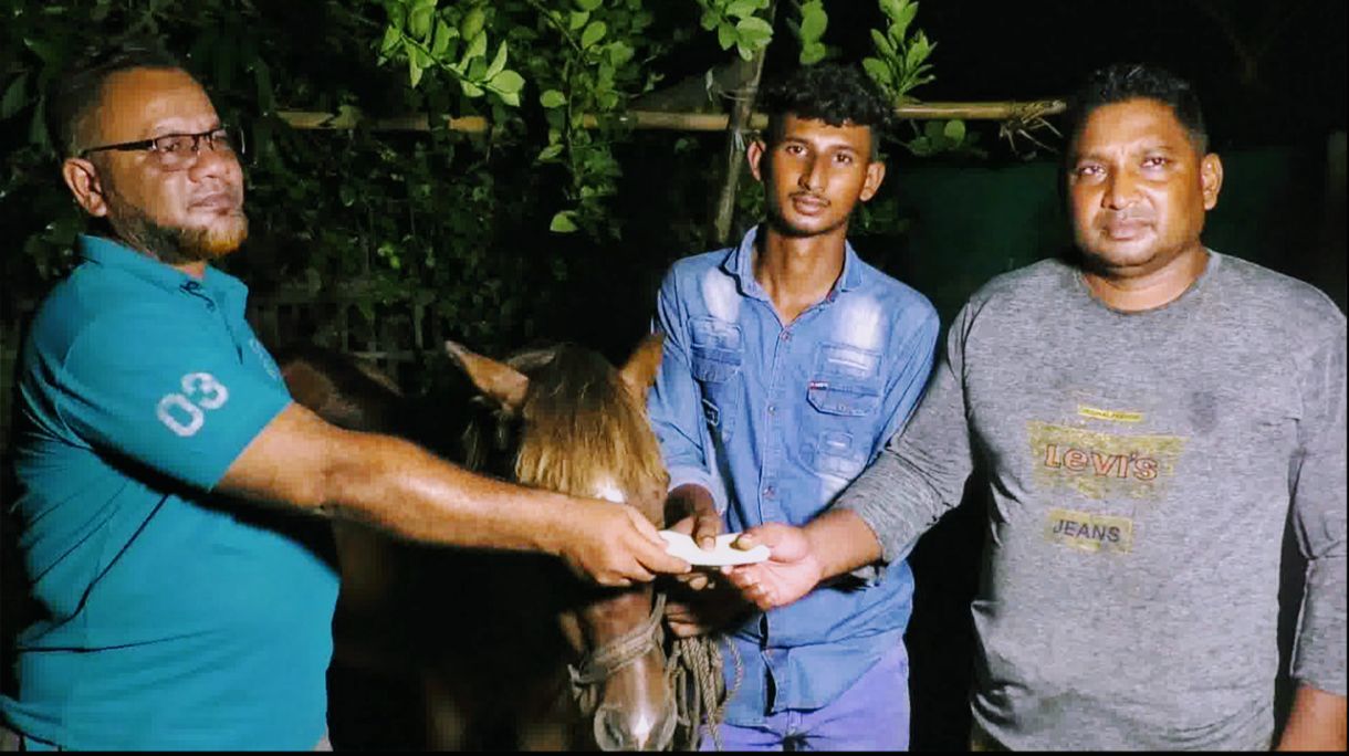 অন্ধ ঘোড়ার জন্য সোহানের মানবিকতা, পাশে তারেক রহমান