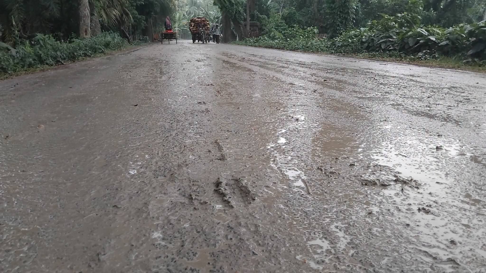 কোটি টাকায় নির্মিত পিচের রাস্তা এখন ‘কাদার মহাসড়ক’: চরম দুর্ভোগে কুশখালী ইউনিয়নবাসী