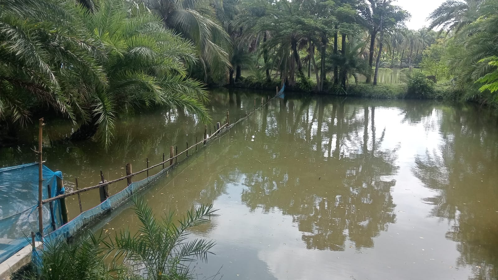 তারালী ইউনিয়নের জাফরপুরে ৯ শতক জমি নিয়ে বিরোধ,  হুমকির অভিযোগ