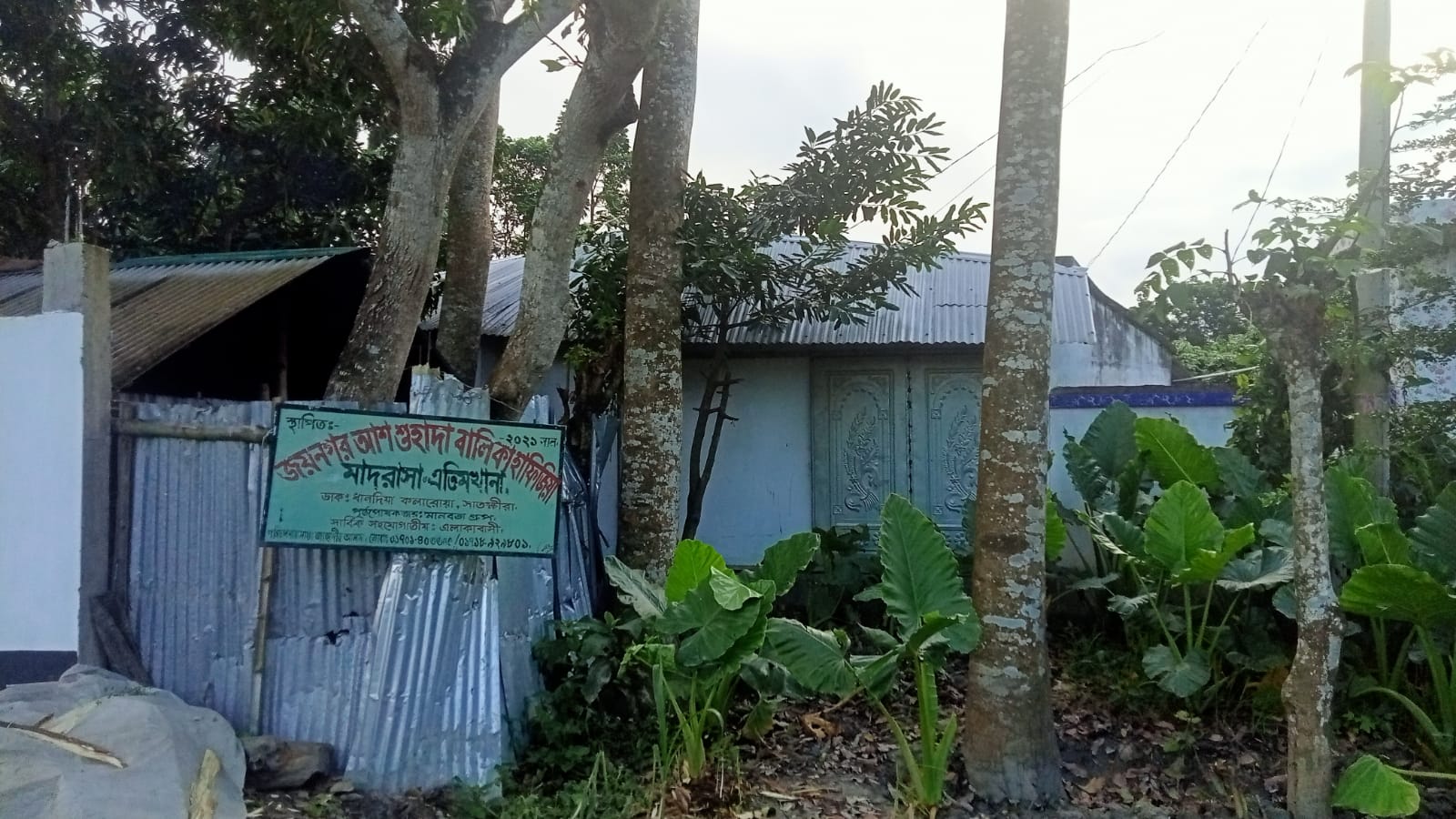 জয়নগরে মাদ্রাসায় দান করা গাছ নিয়ে অপপ্রচারের অভিযোগ  মাদ্রাসা কর্তৃপক্ষের দাবি, তদন্তে গাছগুলো সরকারি নয়; দাতারাই বলছেন, তিন বছর আগে মাদ্রাসাকে দান করা হয়েছে