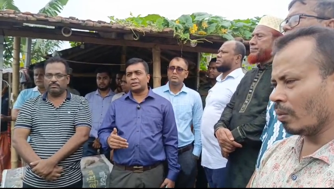 কলারোয়ায় ভেঙে যাওয়া বাঁশের পুল পুনর্নির্মাণ কাজের উদ্বোধন