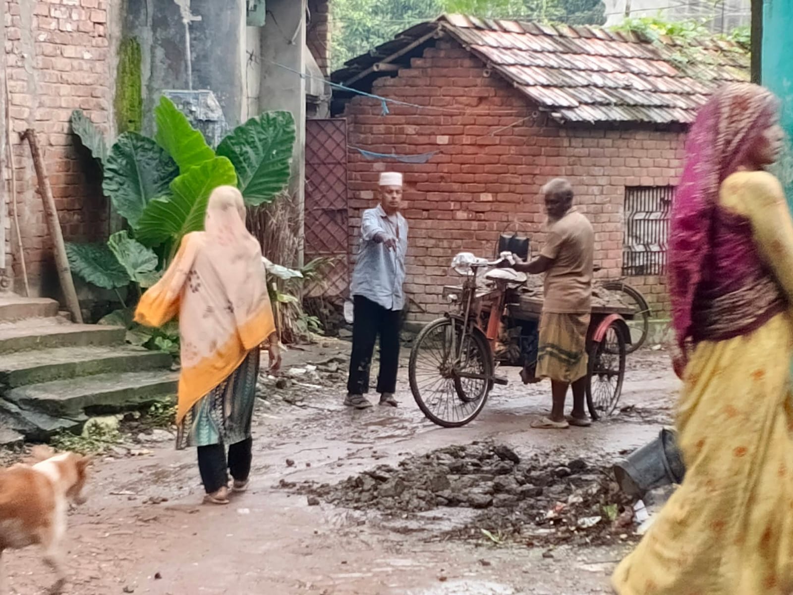 আশাশুনিতে দ্রুত বেড়িবাঁধ নির্মাণের তাগিদ এমপি রবিউল বাশারের