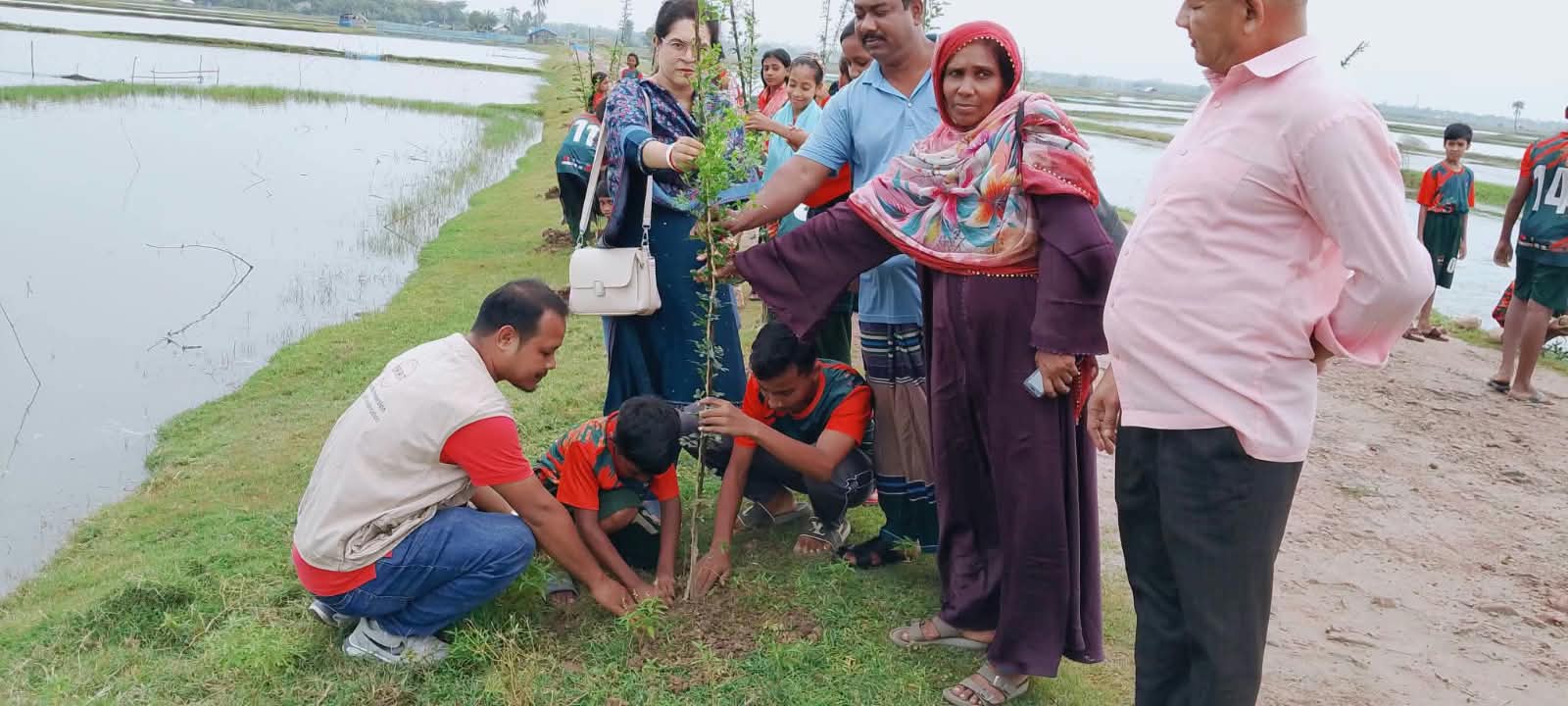 পরিবেশের ভারসাম্য রক্ষায় কালিগঞ্জের ভাড়া শিমলায় বৃক্ষরোপণ