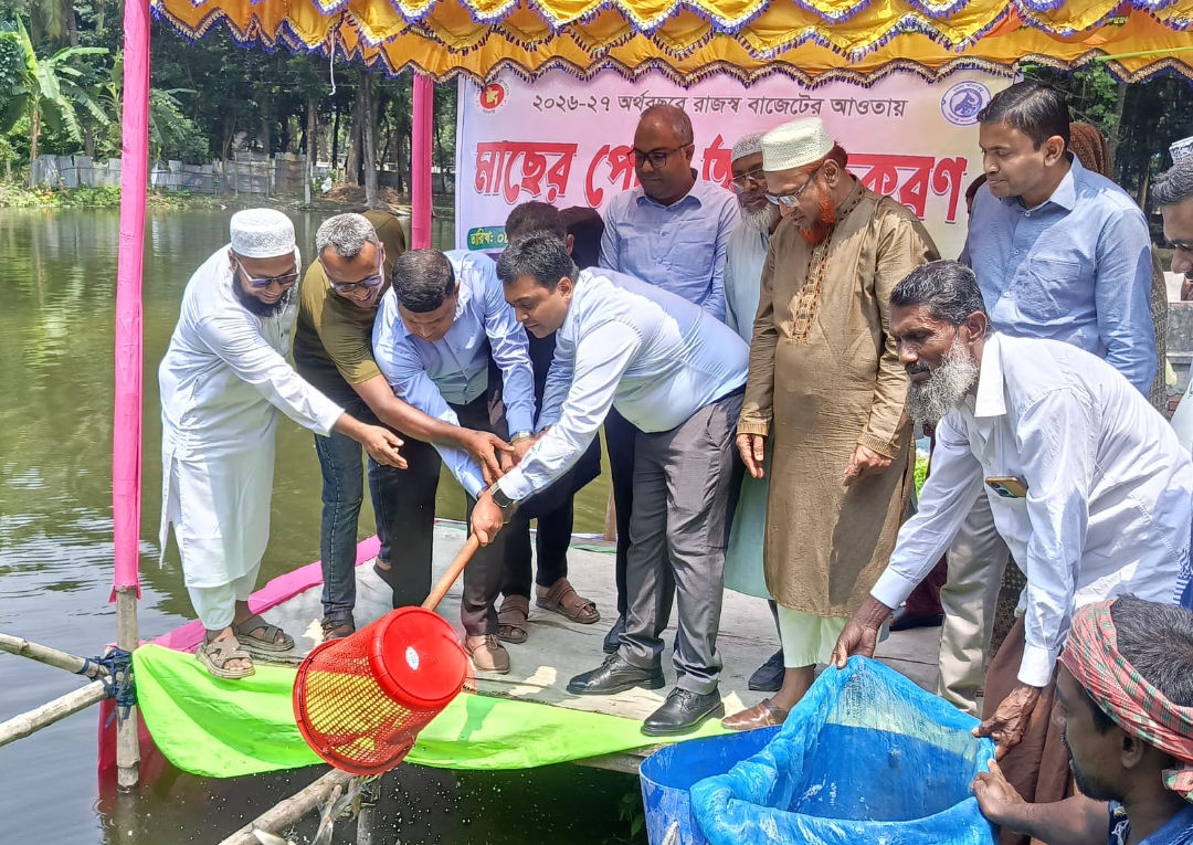 কলারোয়ায় উপজেলা পরিষদ পুকুরে মাছের পোনা অবমুক্ত