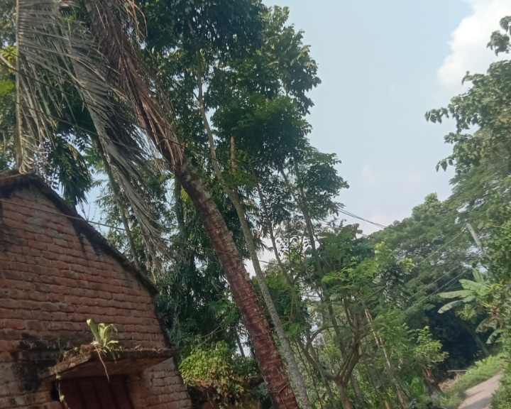পাইকপাড়ায় বিদ্যুতের মেইন লাইনের তার নিচে, বড় দুর্ঘটনার আশঙ্কা